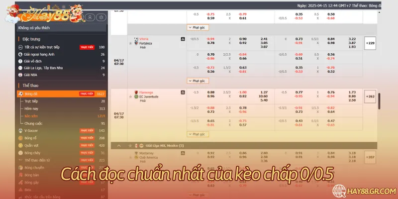 Cách đọc kèo bóng đá theo tỷ lệ kèo 0.25