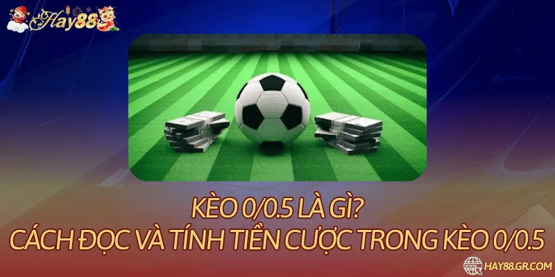 Kèo 0/0.5 Là Gì? Cách Đọc Và Tính Tiền Cược Trong Kèo 0/0.5