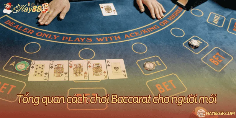 Tìm hiểu cách chơi baccarat mang lại tỷ lệ lớn