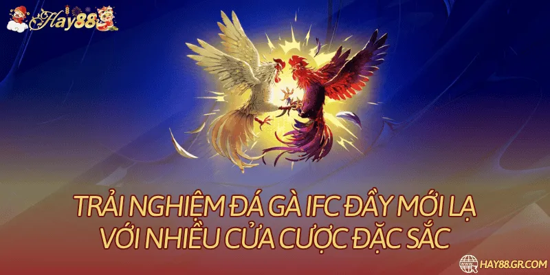 đá gà IFC